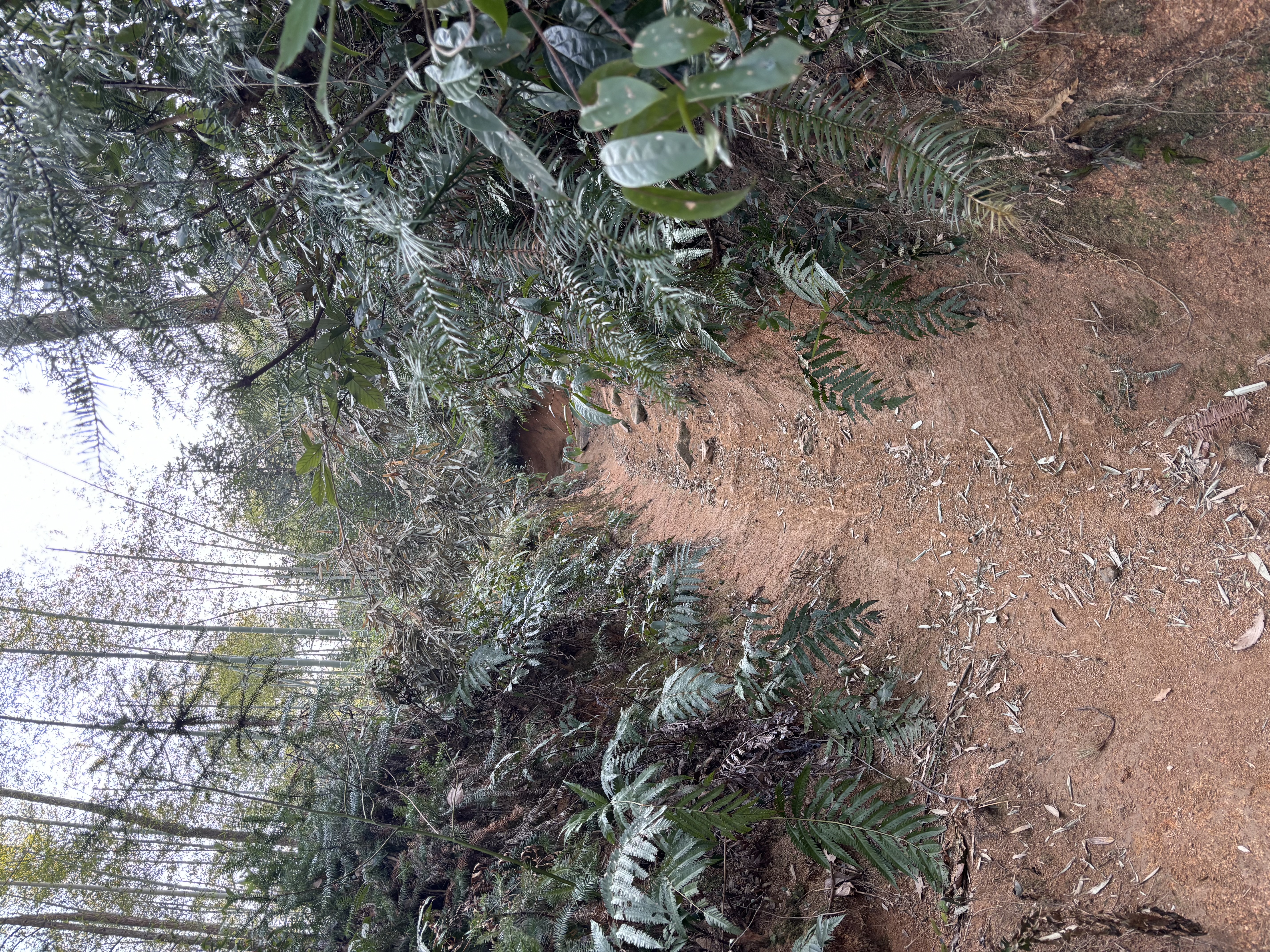 the-road-on-the-left